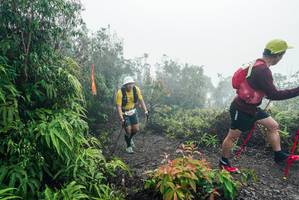 BIB: 
                            <button type="button" onclick="openModal(26271842)" class="btn btn-primary btn-sm float-right btn-popup" data-toggle="modal" data-target=".modal-high-quality">
                        <i class="fas fa-shopping-cart"></i> Add to Cart
                    </button>
                                            <button type="button" onclick="isThisMe(26271842, true)" class="btn btn-success btn-sm float-right btn-popup btn-isme hidden" data-toggle="tooltip" data-placement="bottom" title="นี่คือรูปของคุณใช่ไหม คลิกที่นี่เพื่อเอาเข้าอัลบั้ม">
                        <i class="fas fa-plus"></i> Add to album
                    </button>
                    <button type="button" onclick="isThisMe(26271842, false)" class="btn btn-warning btn-sm float-right btn-popup btn-isnotme hidden">
                        <i class="fas fa-ban"></i> Remove from album
                    </button>